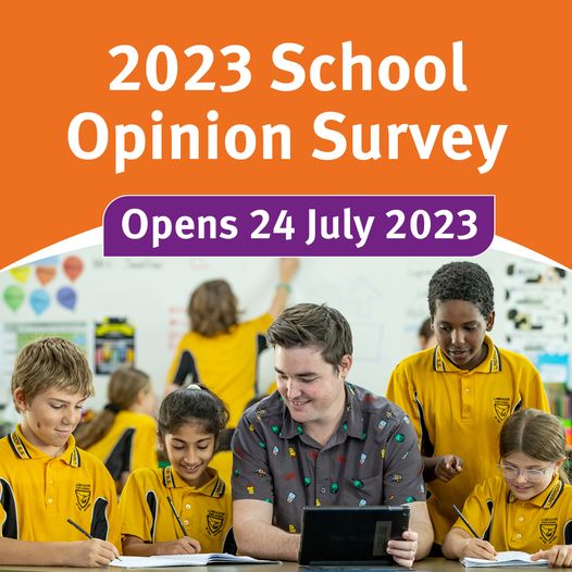 School Opinion Survey